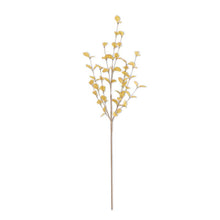 Load image into Gallery viewer, Dried Eucalyptus