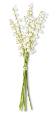 Lily of the Valley Bundle