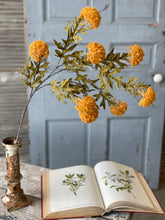 Load image into Gallery viewer, Autumn Aster Spray