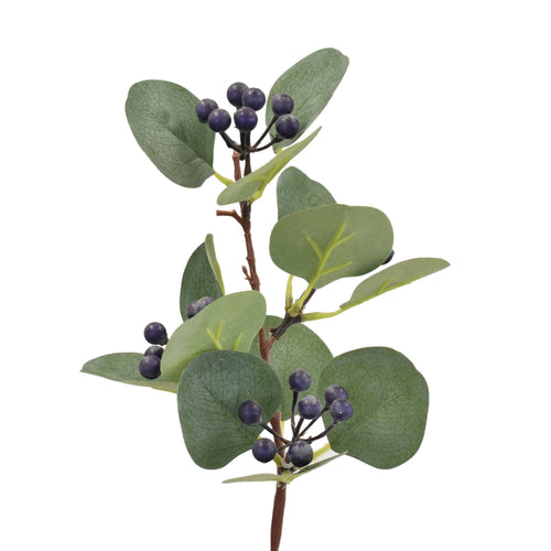 Eucalyptus Berry Stem