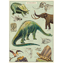 Vintage Posters